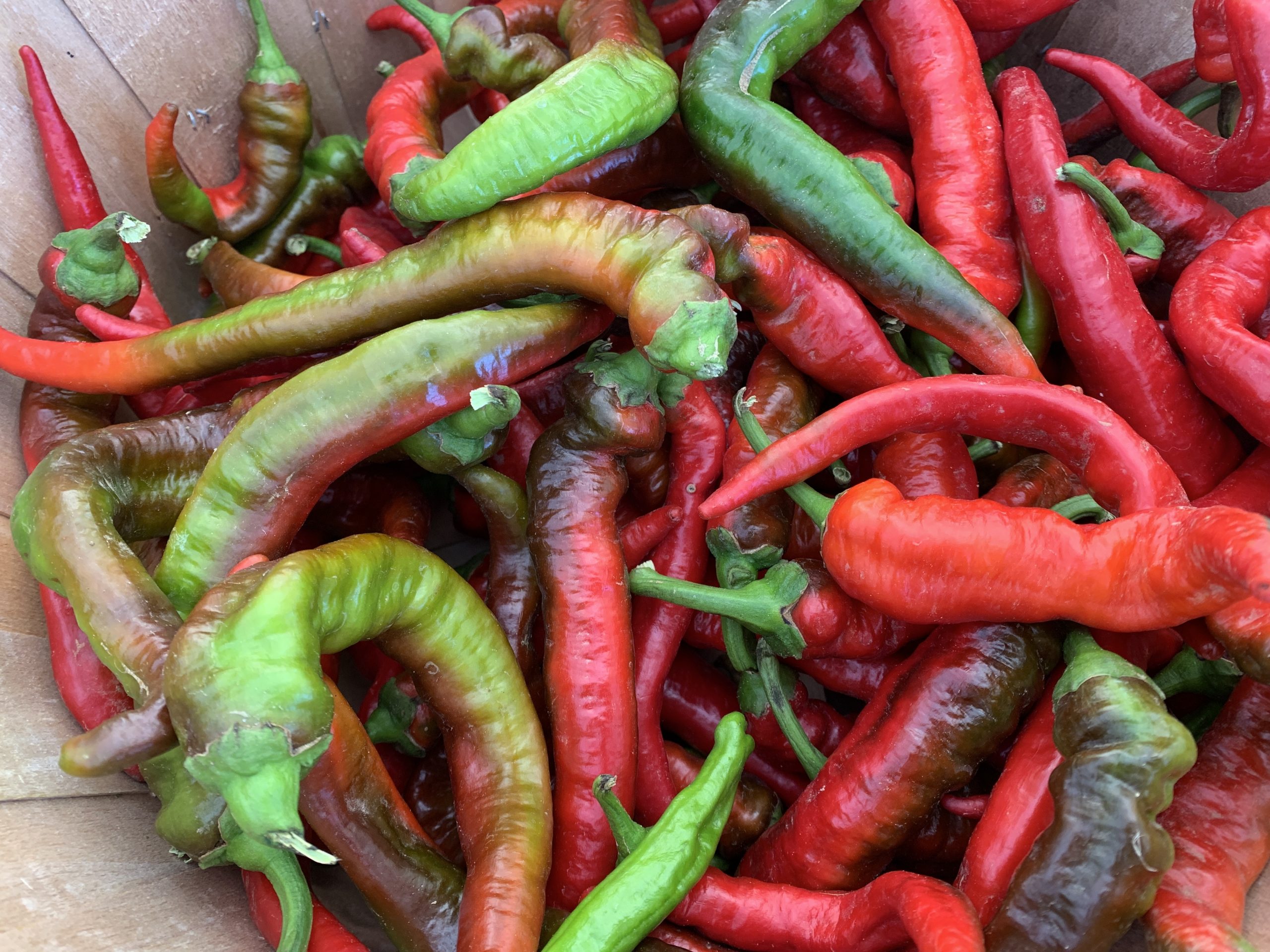 Red & Green New Mexico Chile